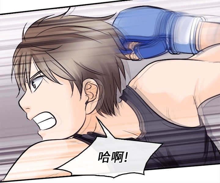 第15章：铁拳