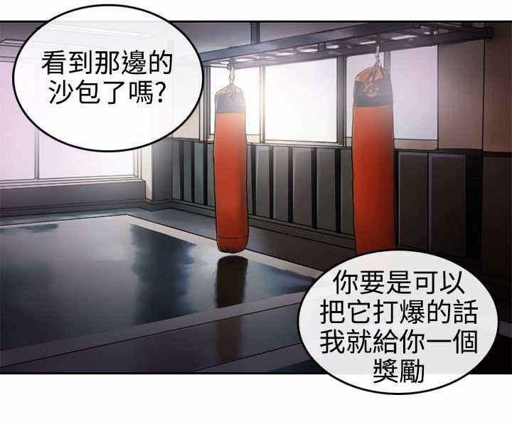 第2章：初涉拳馆