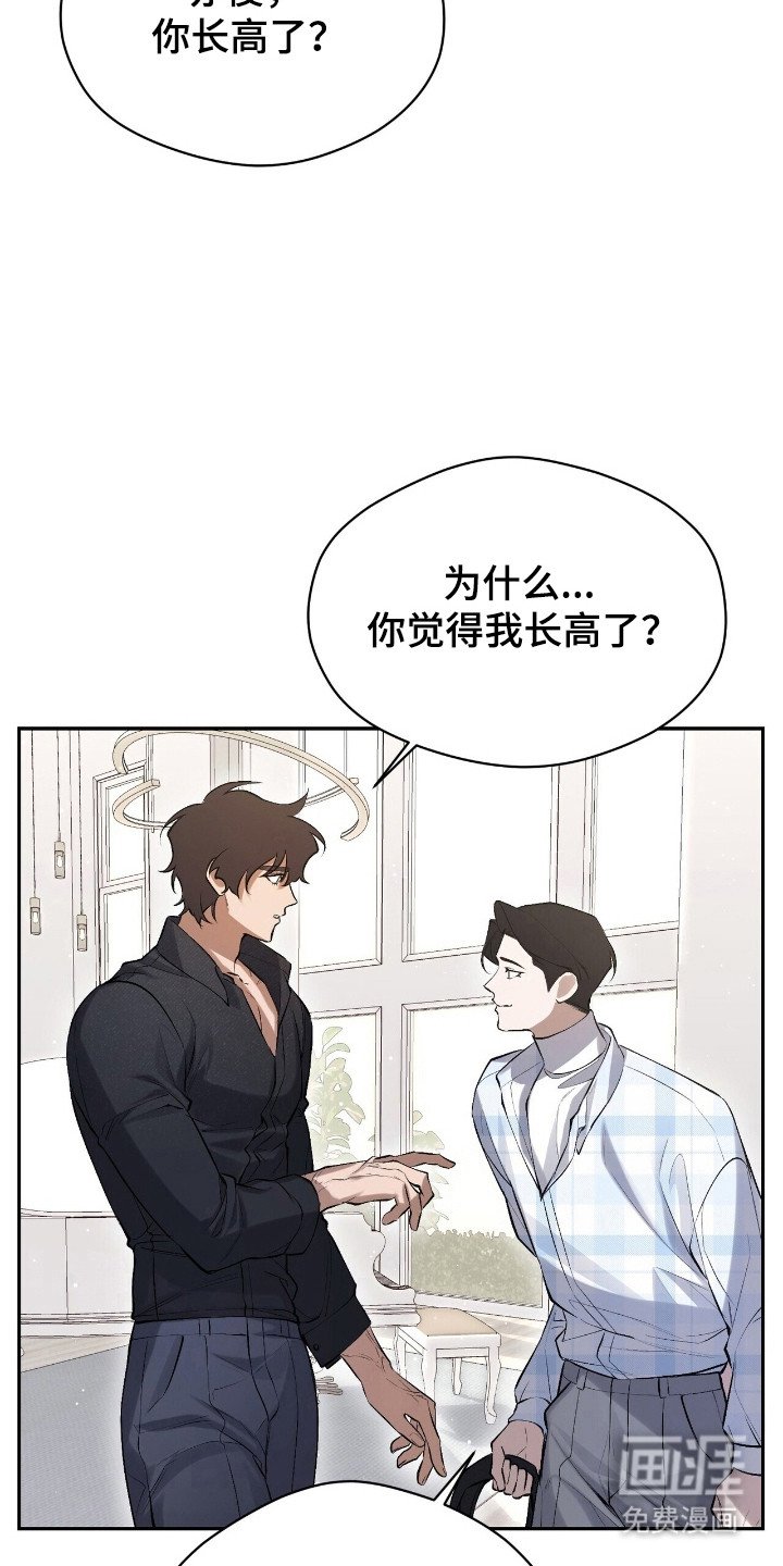 第29章：加快速度