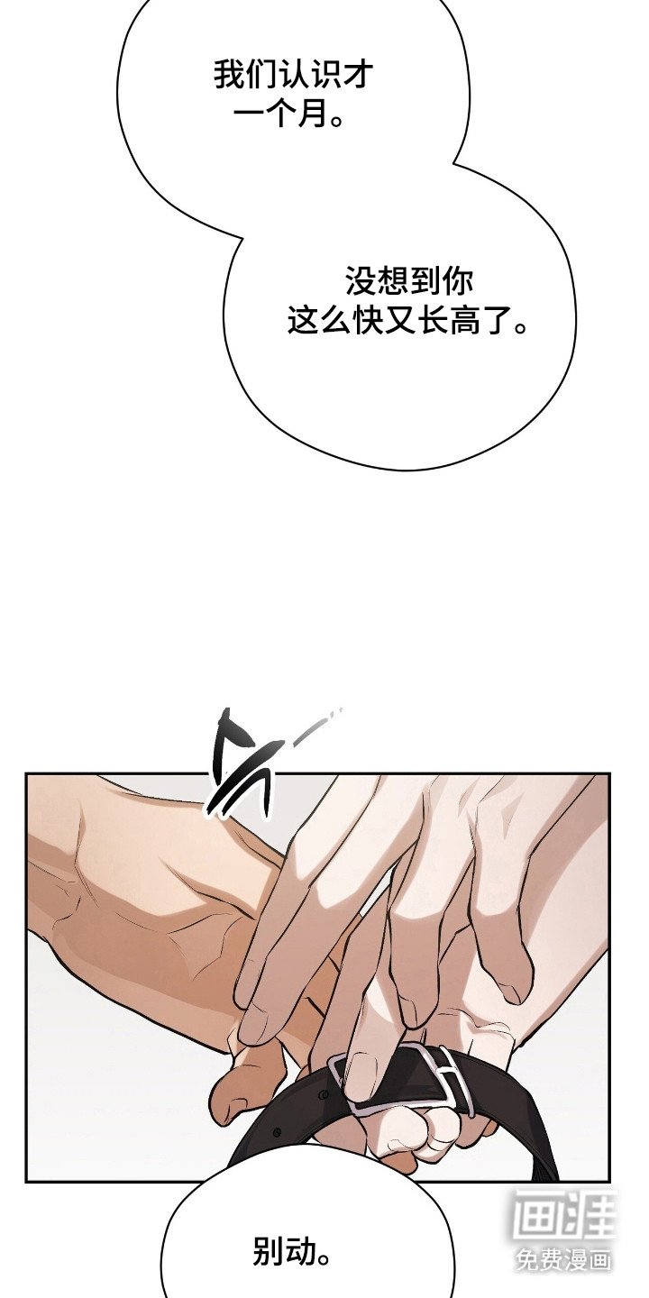 第29章：加快速度