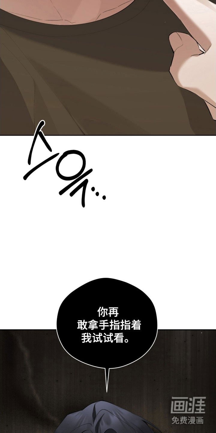 第47章：分化