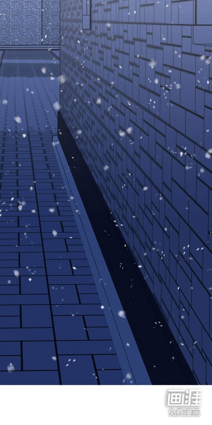 第56章：全部忘掉