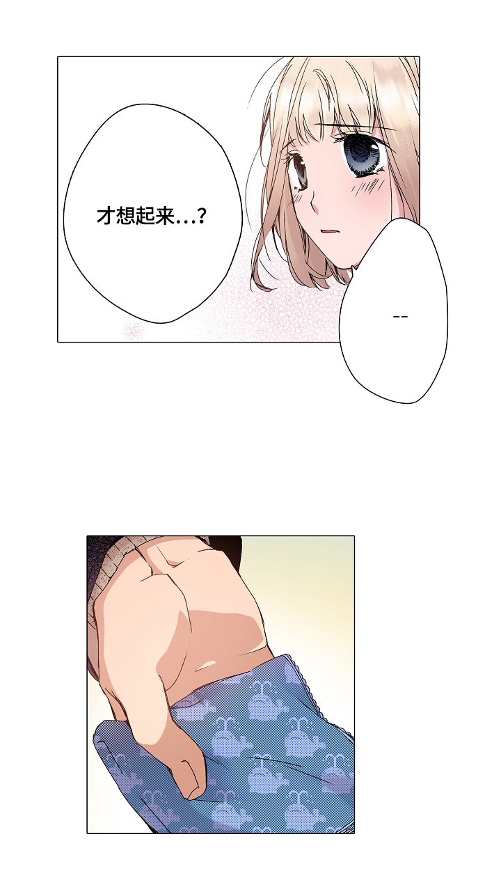 第20章：解释