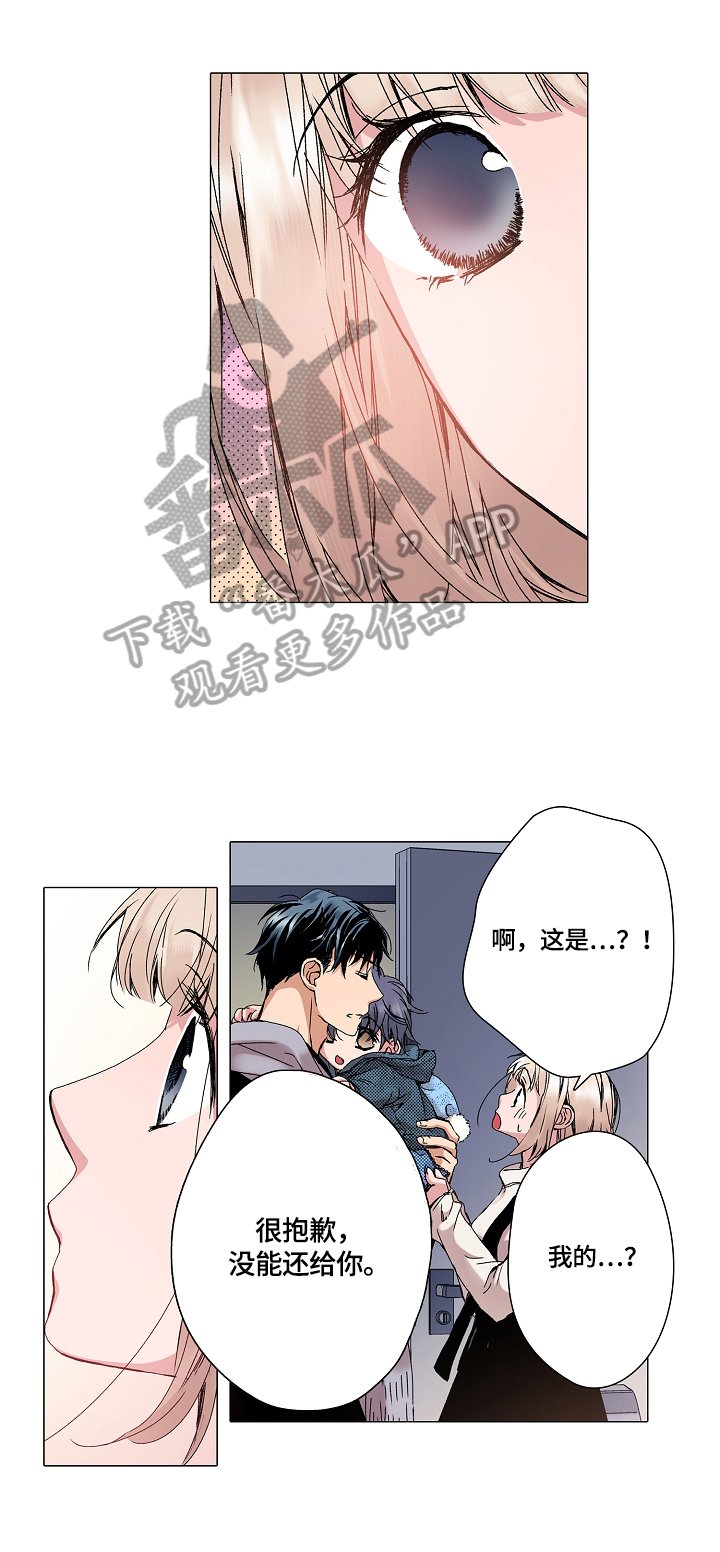 第20章：解释
