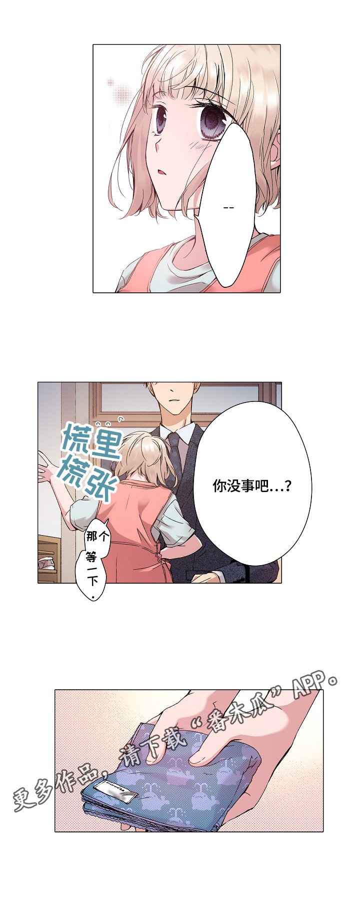 第20章：解释