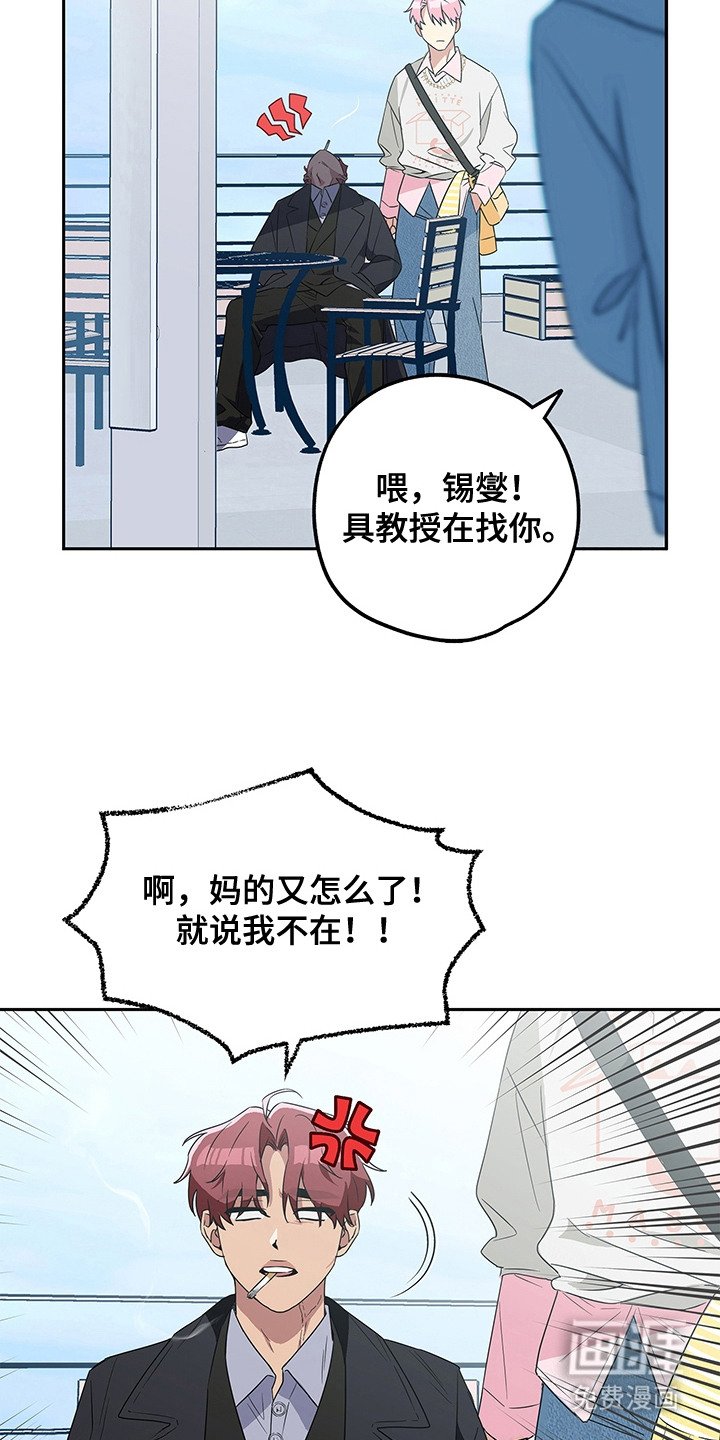 第1章：极光乐队