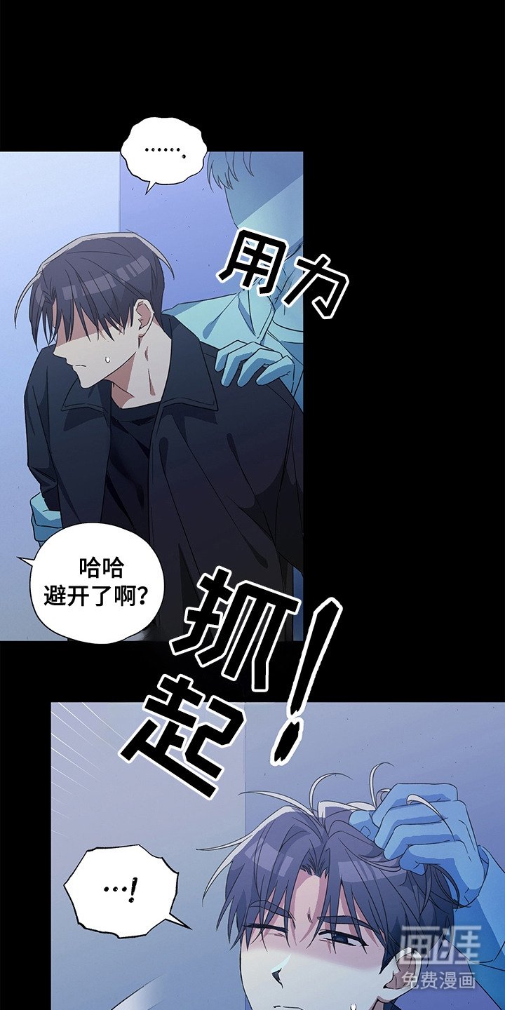 第11章：出主意