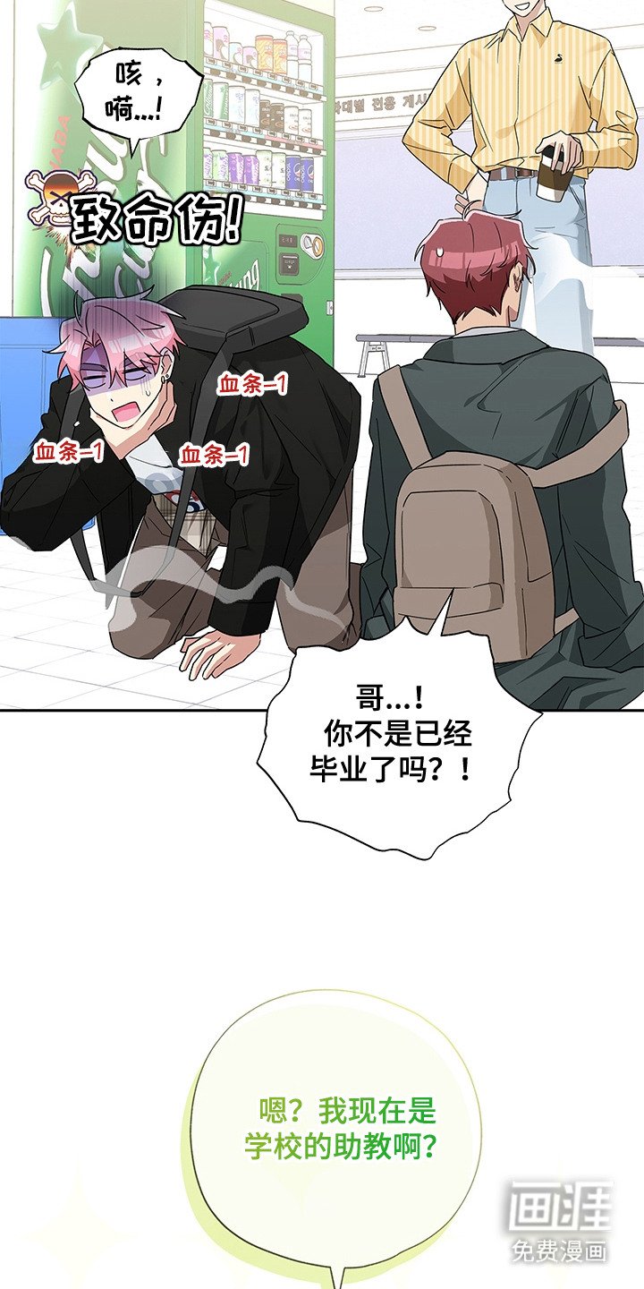 第14章：助教