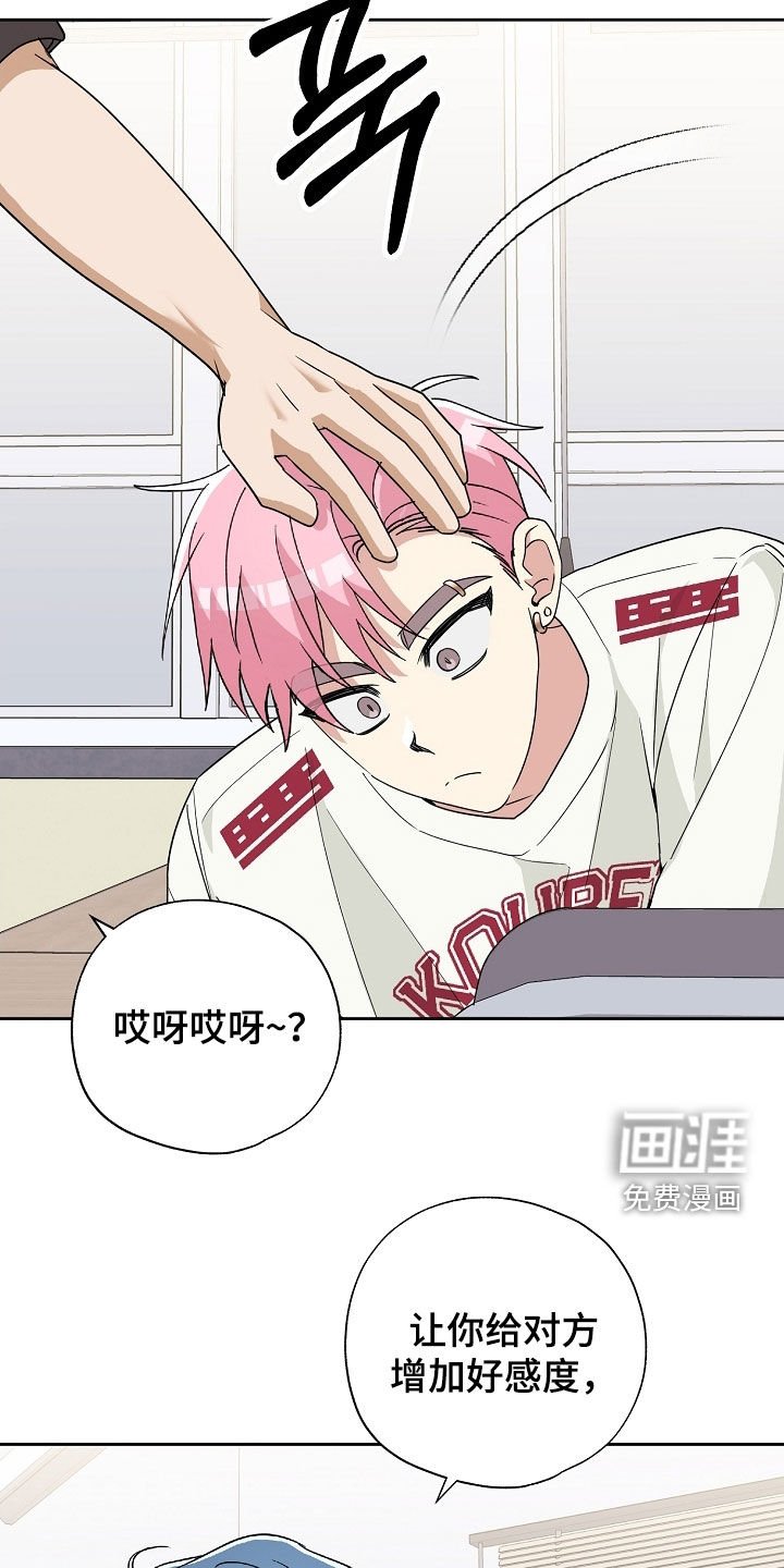第37章：新手
