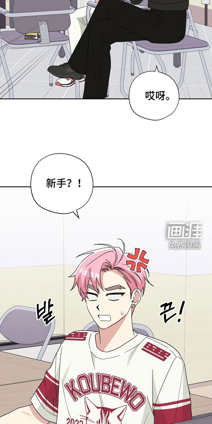 第37章：新手