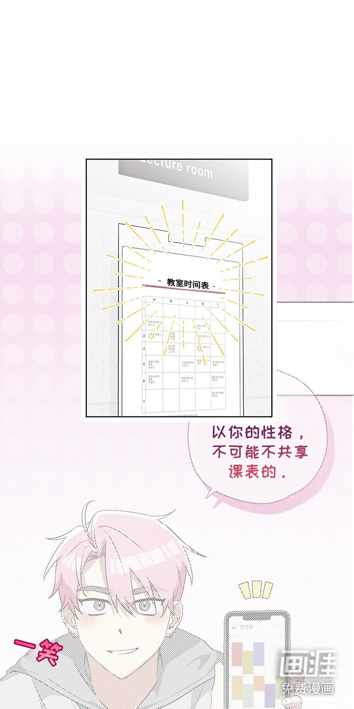 第6章：看电影