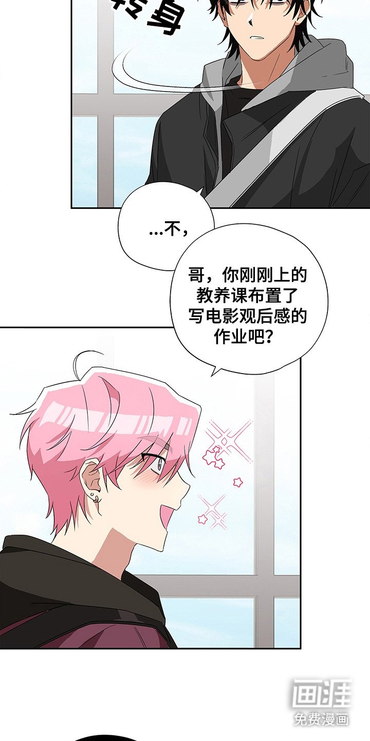 第6章：看电影