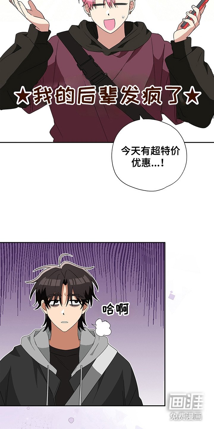 第6章：看电影