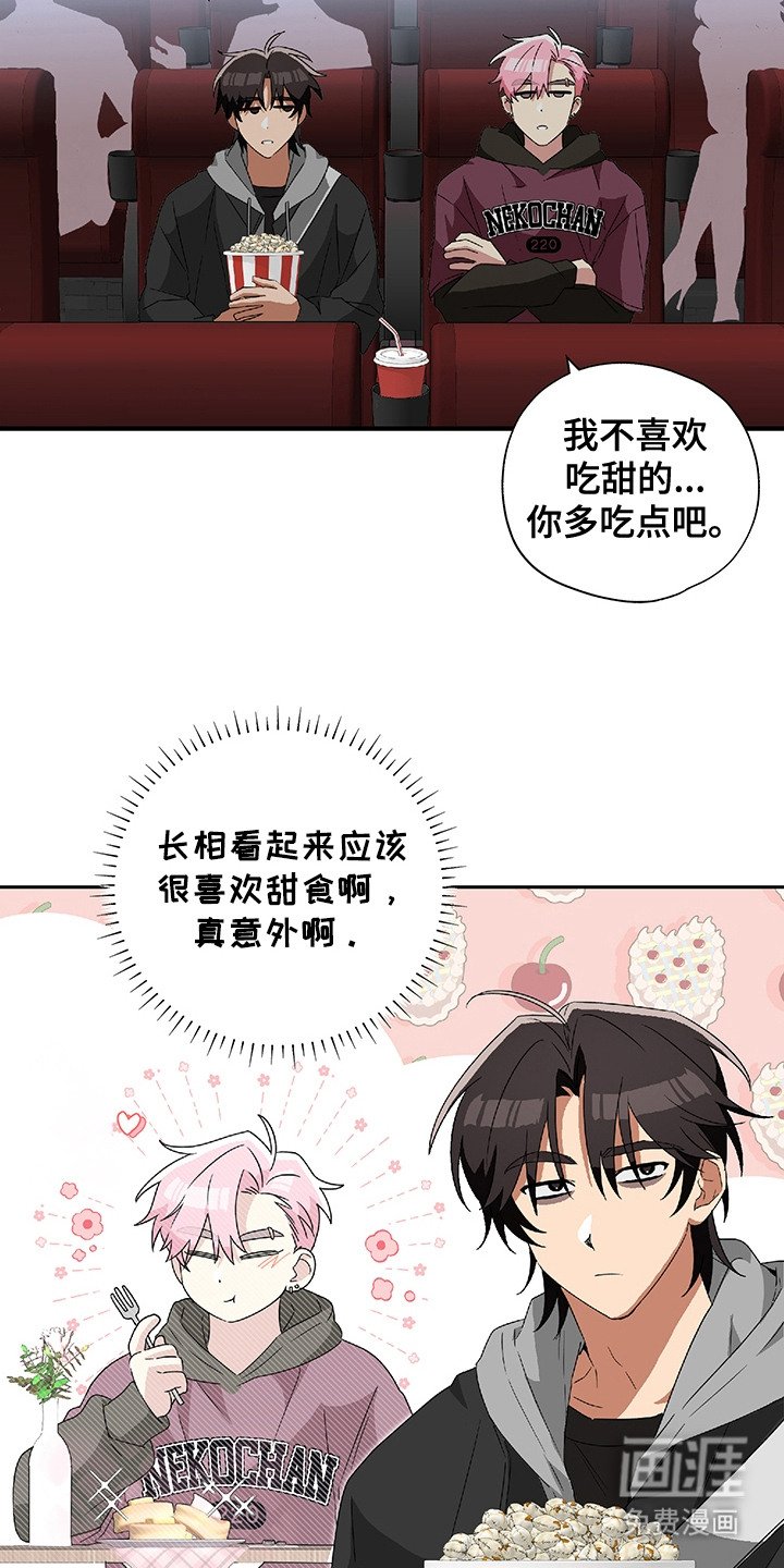 第6章：看电影