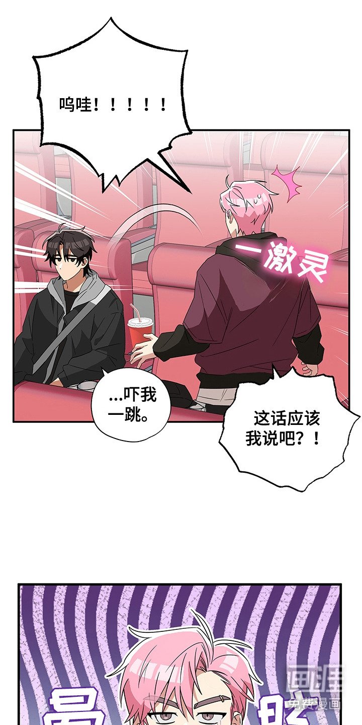 第6章：看电影