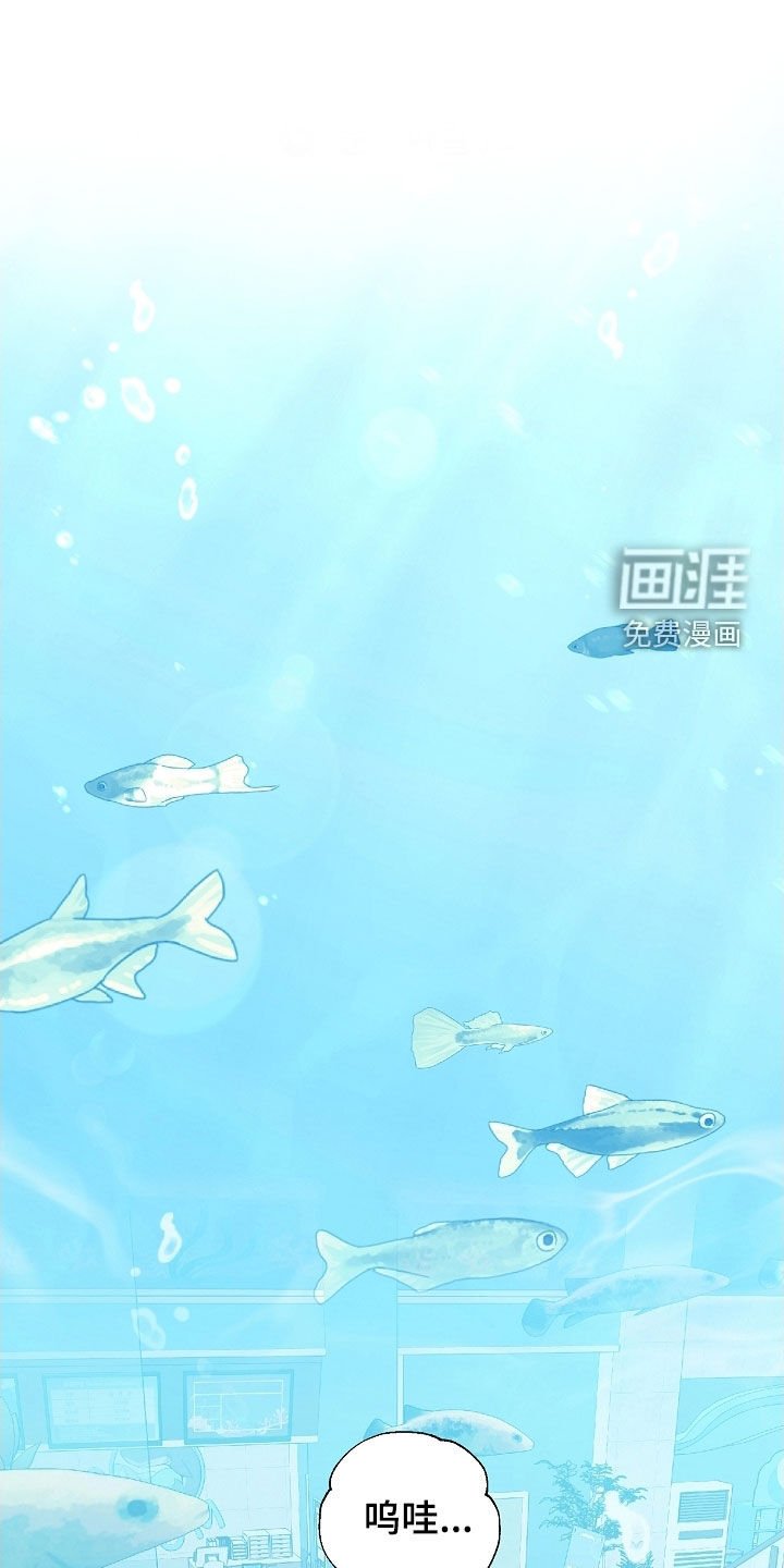 第60章：水族馆