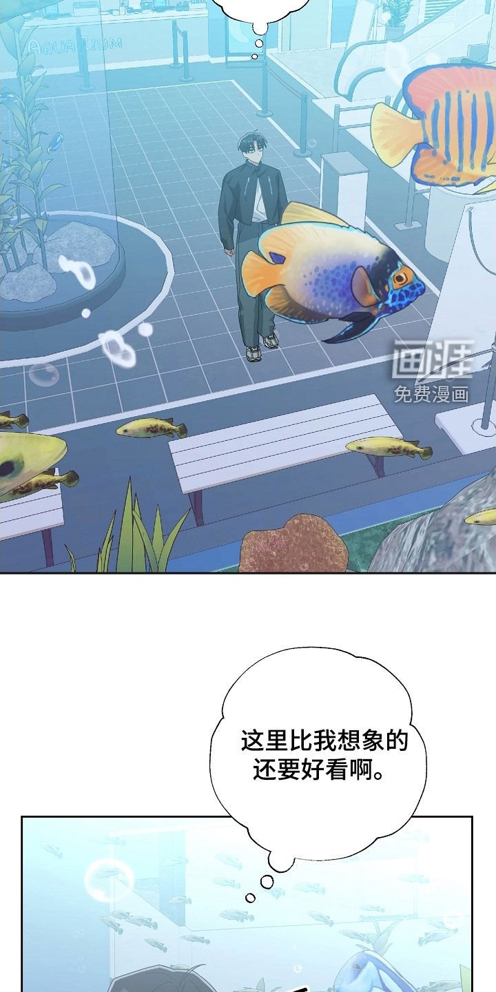 第60章：水族馆
