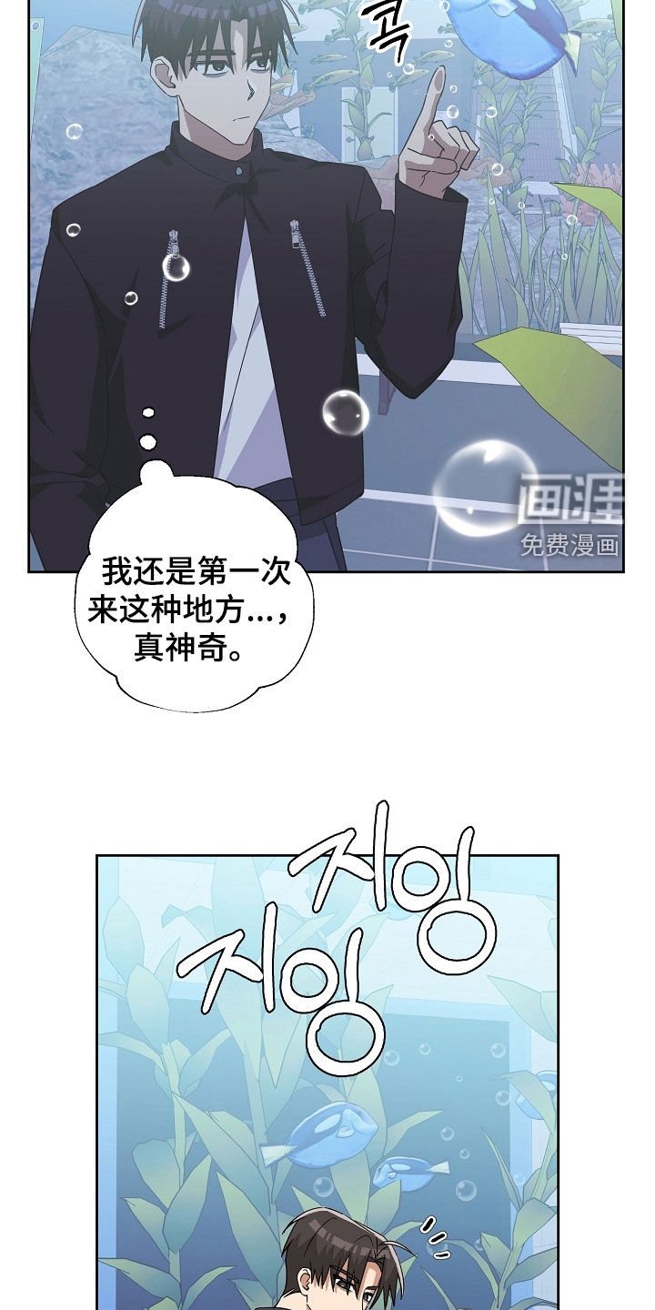 第60章：水族馆