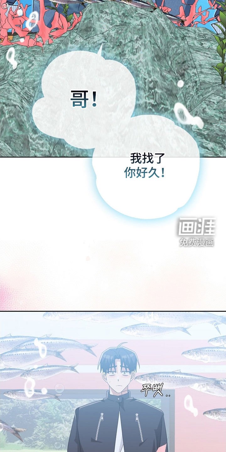 第60章：水族馆