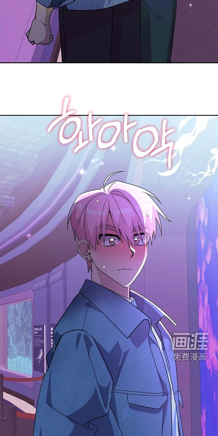 第61章：全都跑路