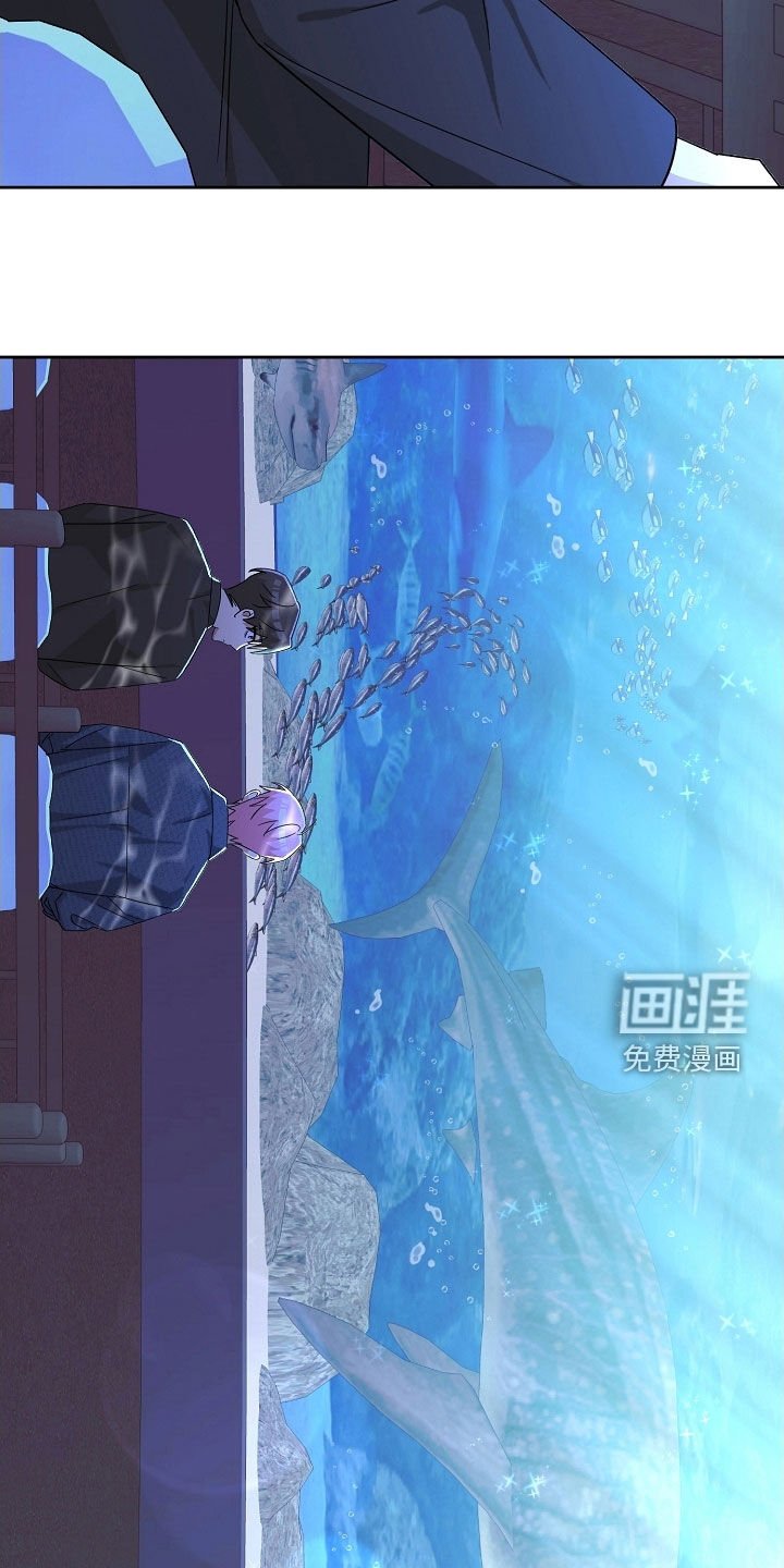 第62章：纪念礼物