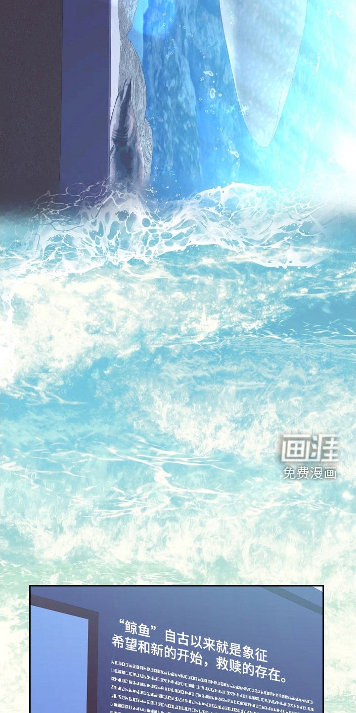 第62章：纪念礼物