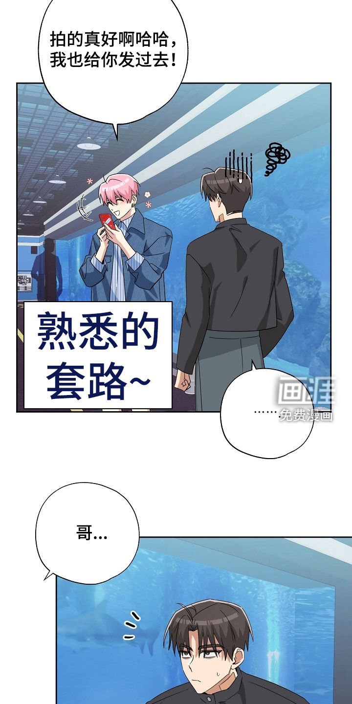 第62章：纪念礼物