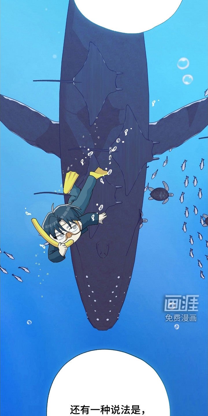 第63章：过来试试看