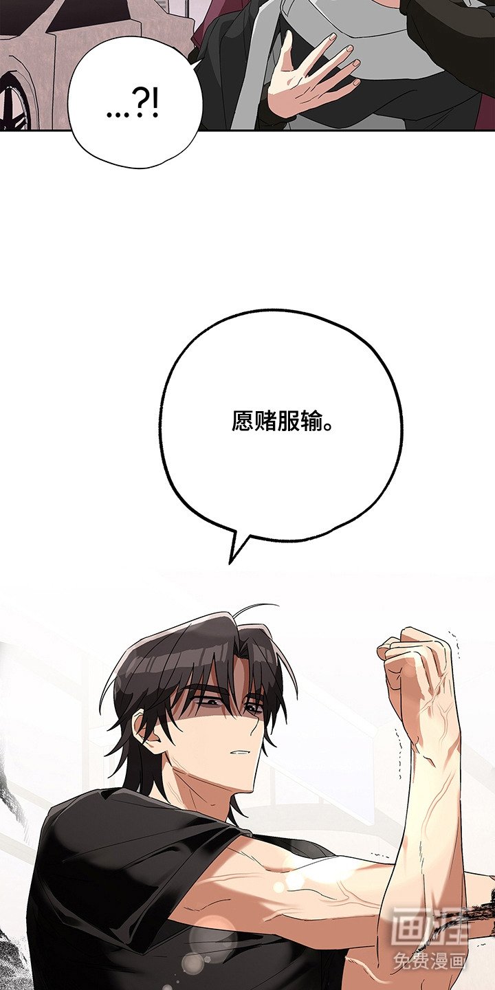 第7章：打赌