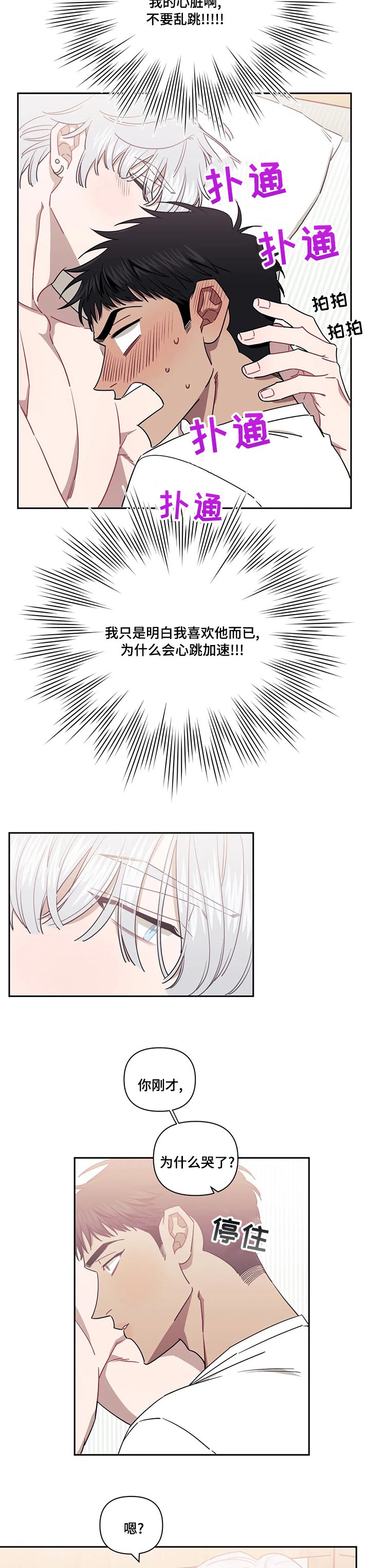 第54章：为什么