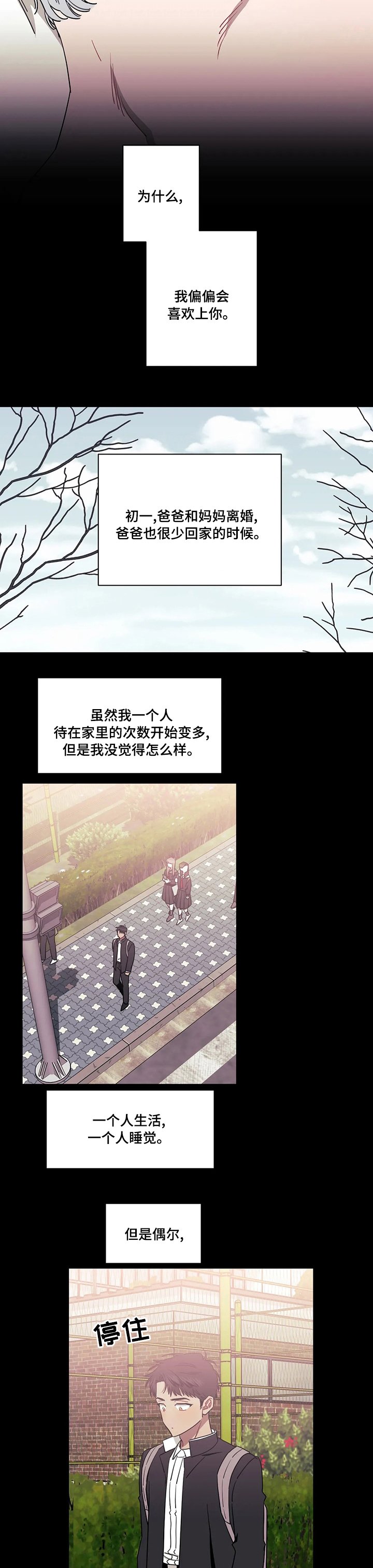 第54章：为什么