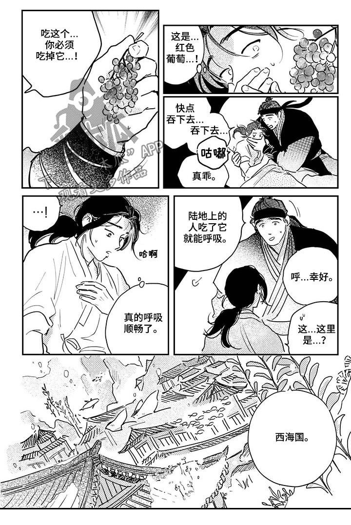 第64章：【番外】西海国