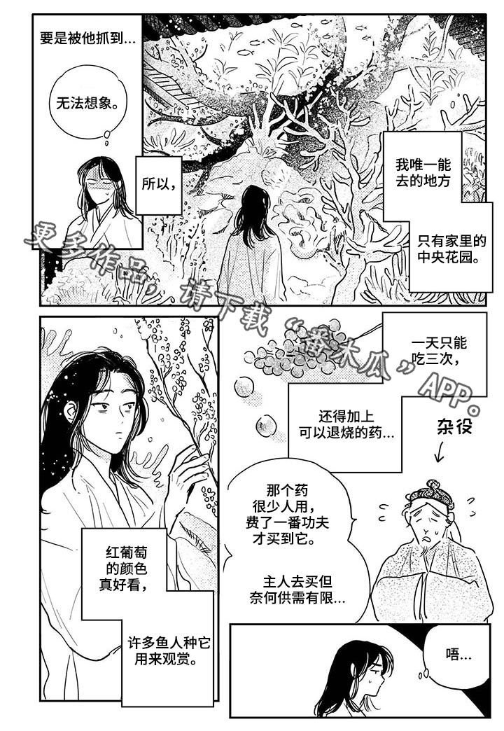 第65章： 【番外】解毒