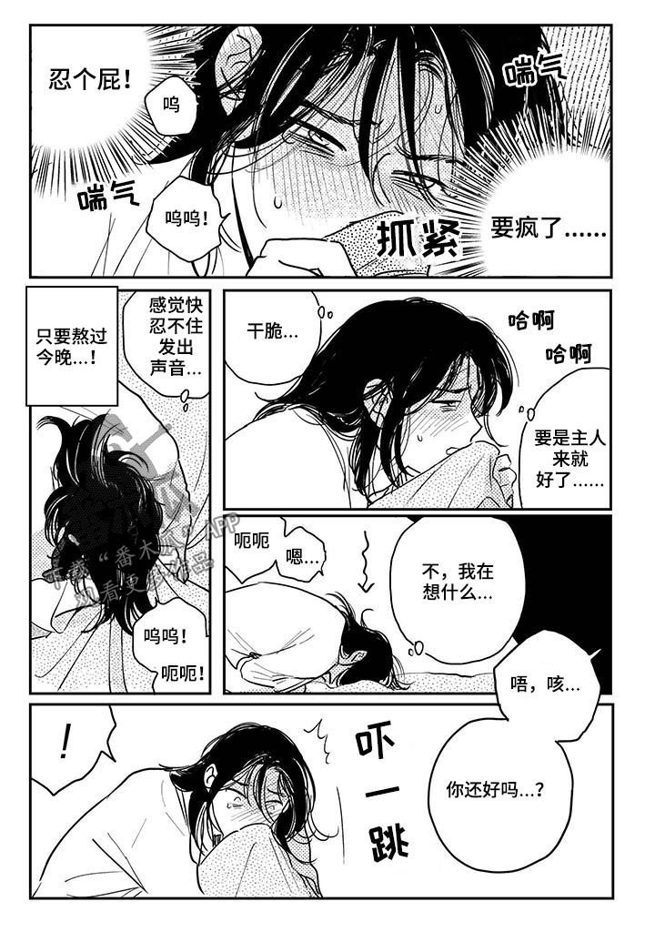 第66章：【番外】效果非凡.