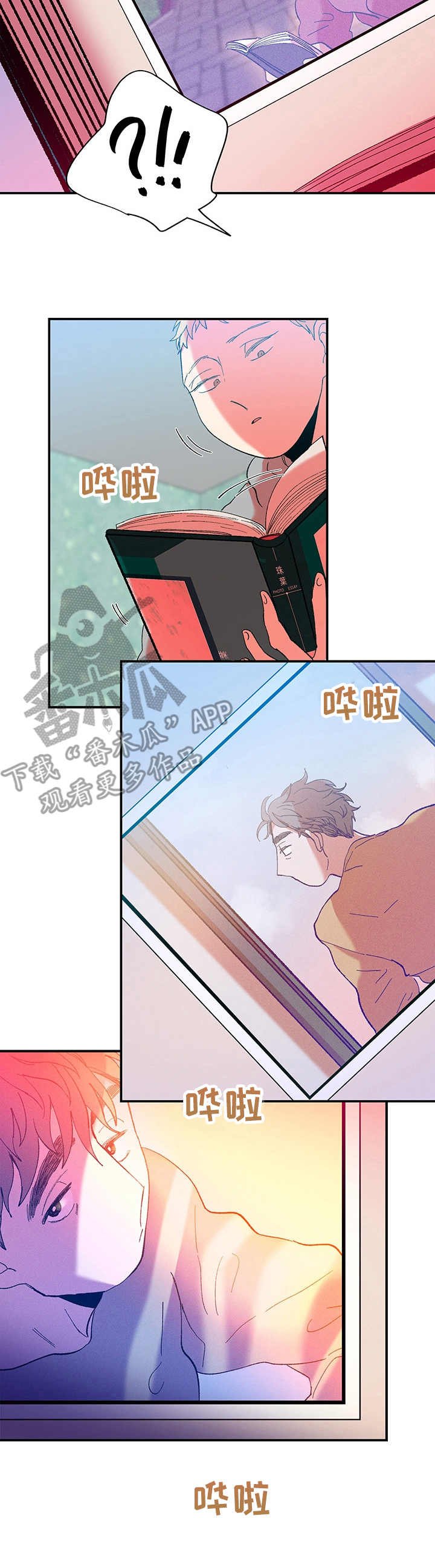 第30章：摄影集