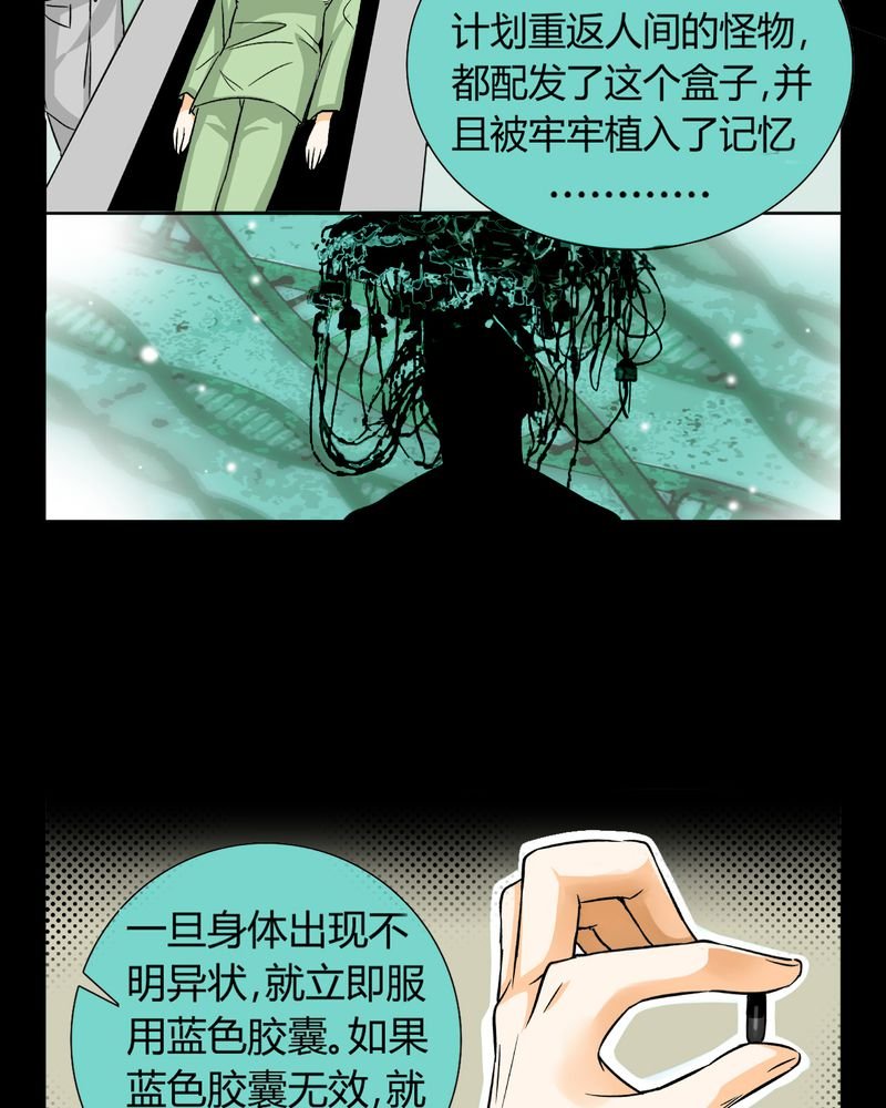 第11章：诺曼（中）