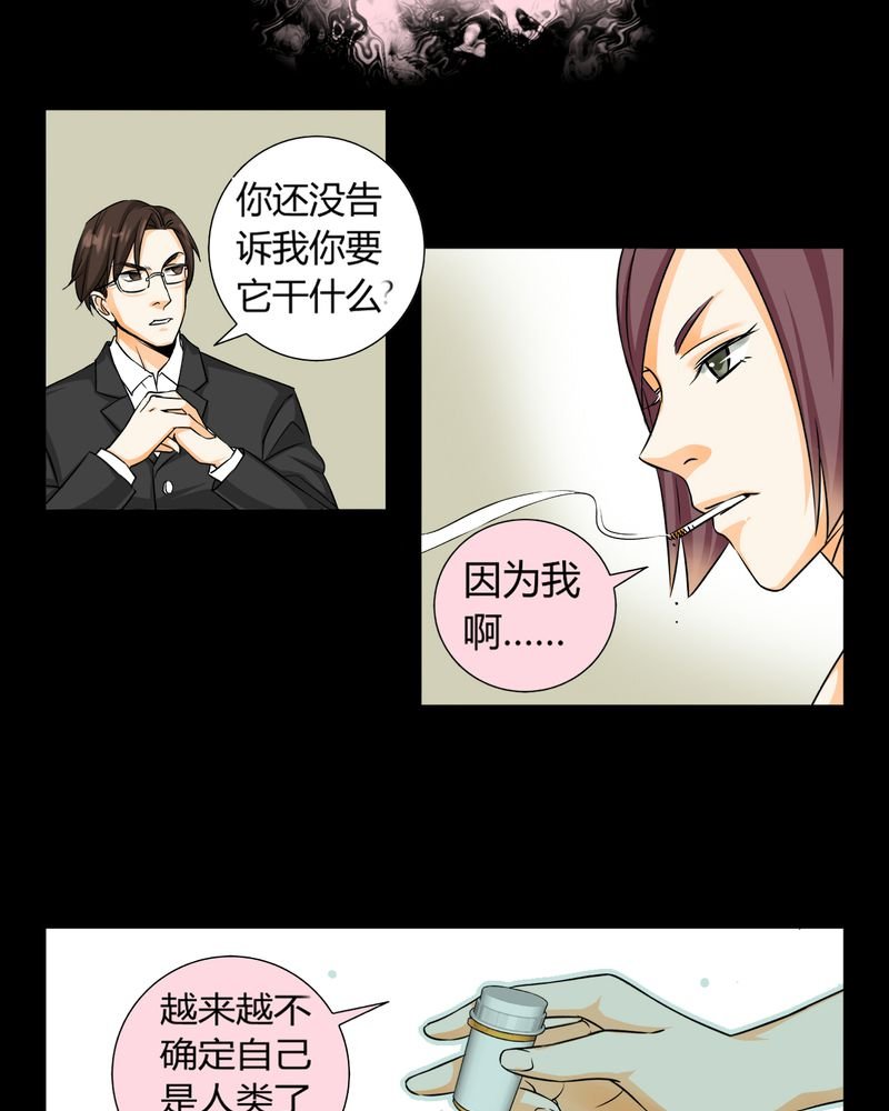 第11章：诺曼（中）