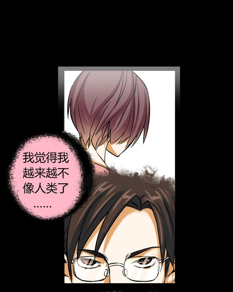 第11章：诺曼（中）