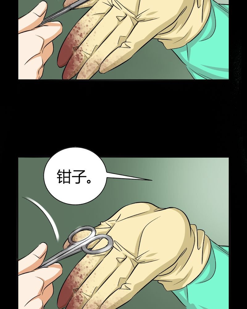 第13章：模型（上）
