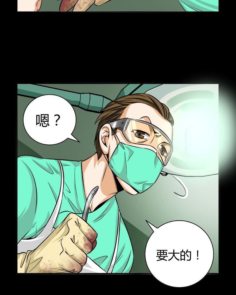 第13章：模型（上）