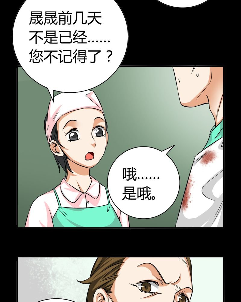 第13章：模型（上）