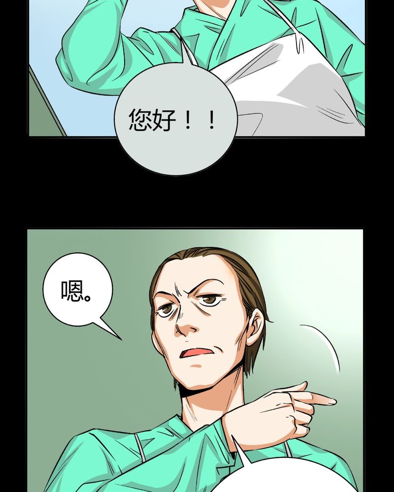 第13章：模型（上）