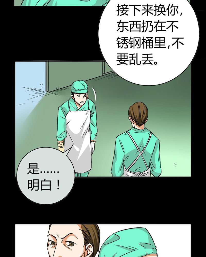 第13章：模型（上）