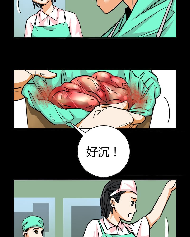 第13章：模型（上）