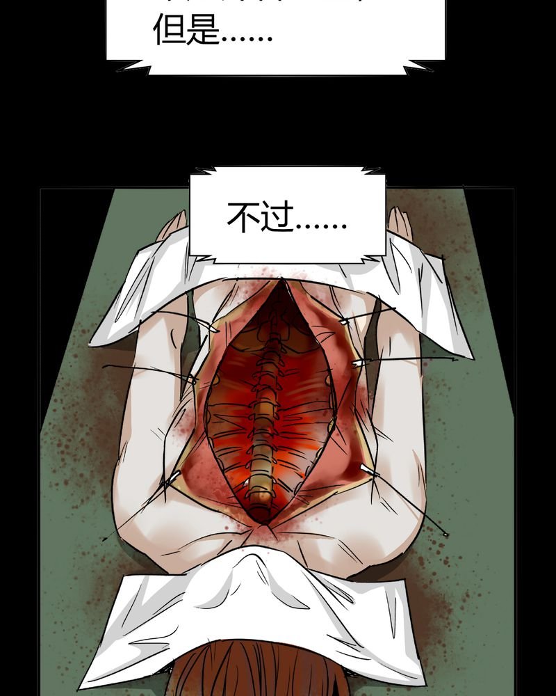 第13章：模型（上）