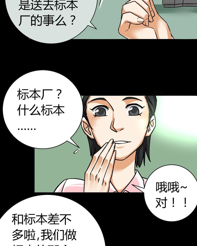 第14章：模型（下）