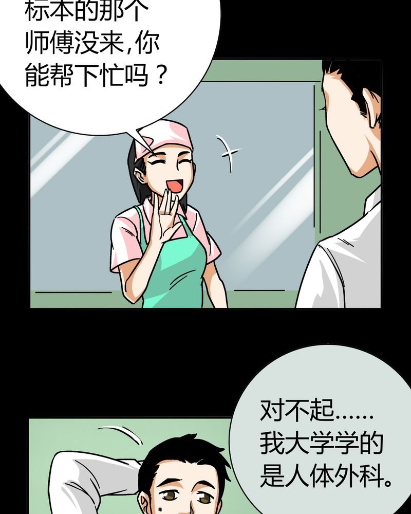 第14章：模型（下）