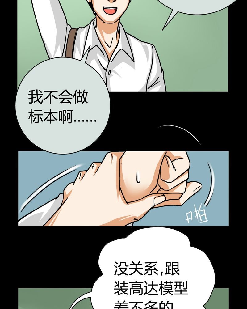 第14章：模型（下）