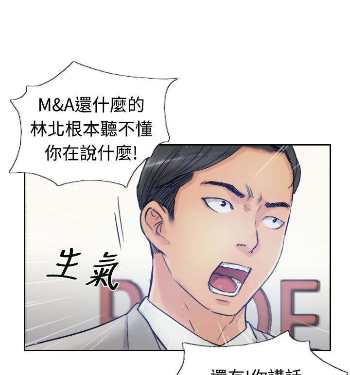 第28章：会议