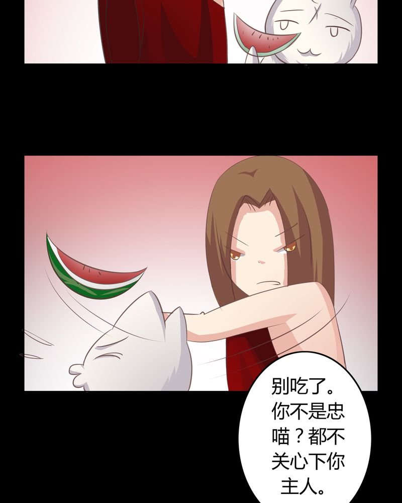第14章：一醉千年